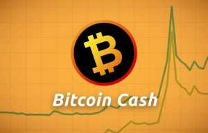 What-is-Bitcoin-Cash