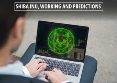 Shiba Inu, Working and Predictions