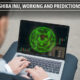 Shiba Inu, Working and Predictions